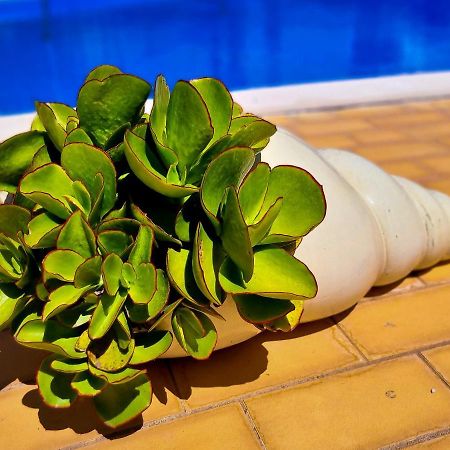 Flh Vilamoura Summer Apartment With Pool Dış mekan fotoğraf
